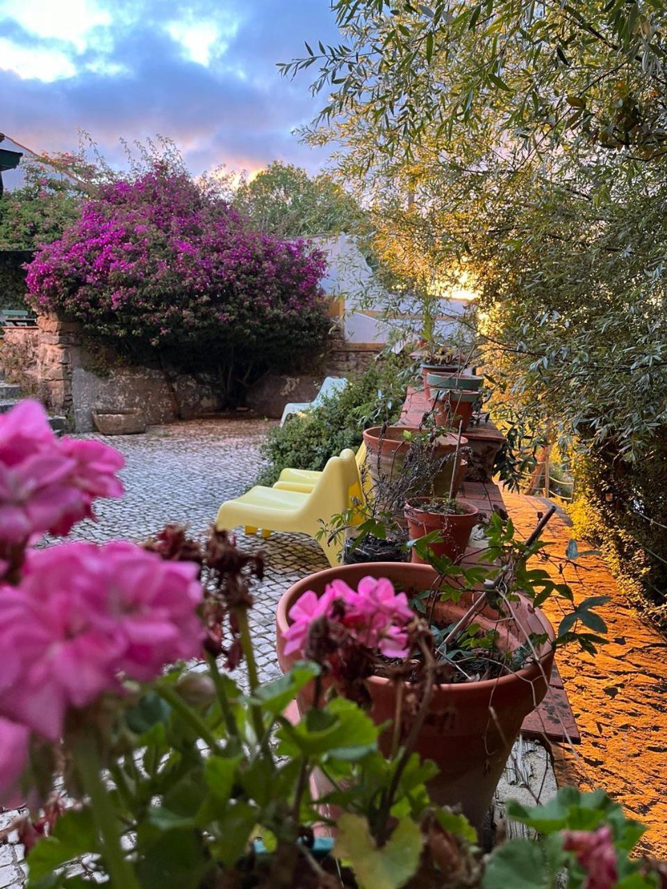 Ferienpark Quinta Laranja - -