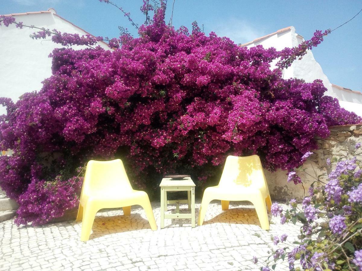 Vakantiepark Quinta Laranja - - Alvorninha
